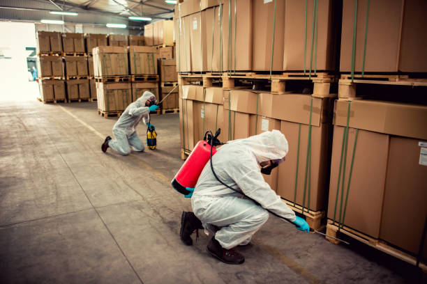 Best Insect Control  in Gibsonton, FL