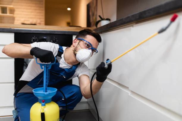 Best Wasp Removal Services  in Gibsonton, FL