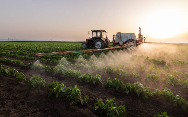 Reliable Gibsonton, FL Pest Control Solutions