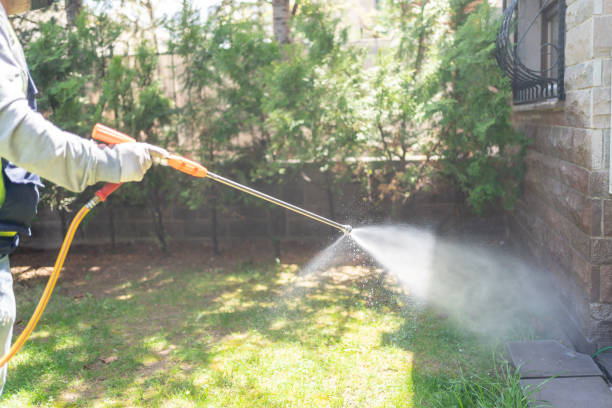 Best Affordable Pest Control Services  in Gibsonton, FL
