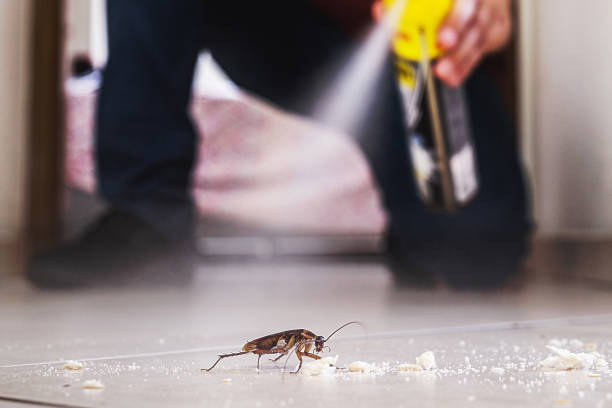 Best Best Pest Control Companies  in Gibsonton, FL