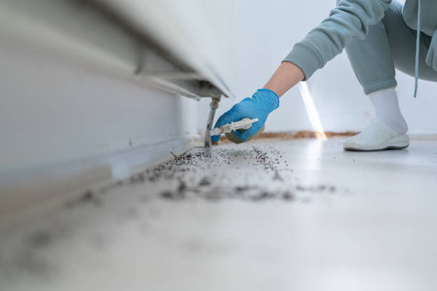 Gibsonton, FL Pest Control Company